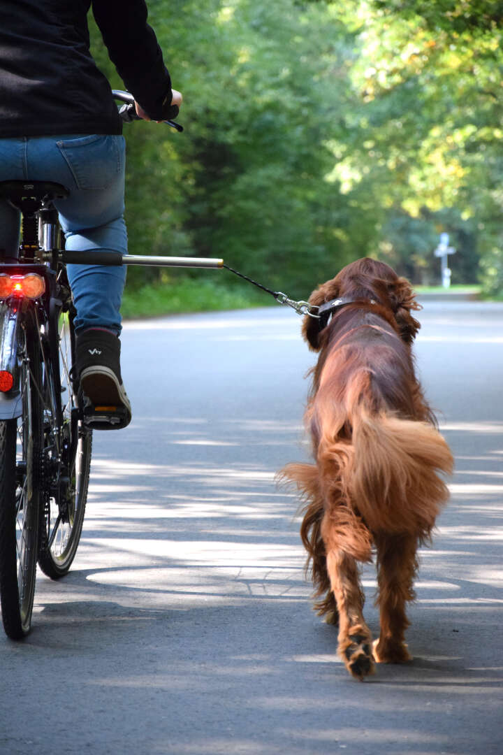 dobar Fahrradleine Walky Dog Plus